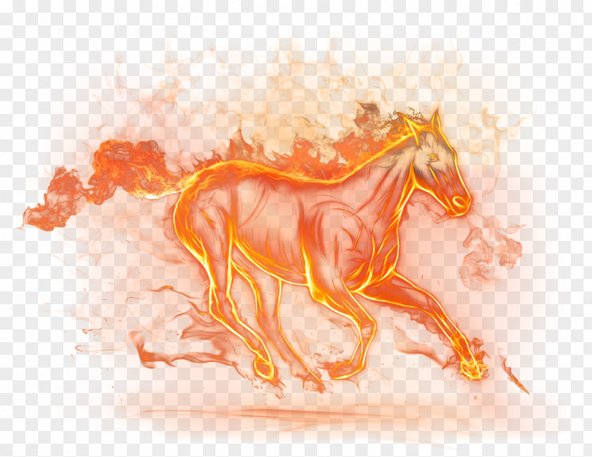 Beautiful Fire Horse Clipart Picture Clip Art PNG