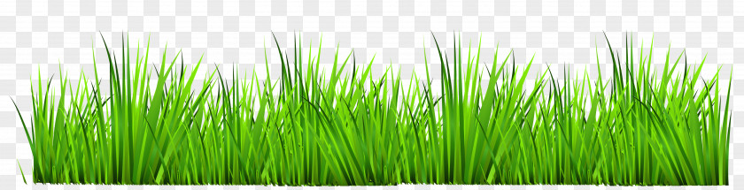 Cliparts Grass Border Drawing Royalty-free Photography Clip Art PNG