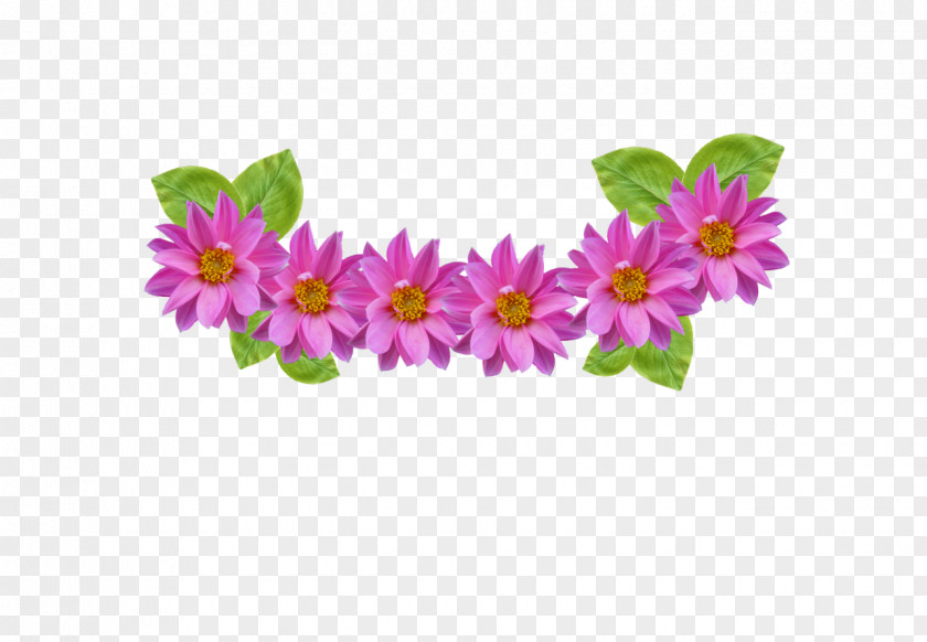 Cut Flowers Wildflower Flower Pink Petal Plant Purple PNG