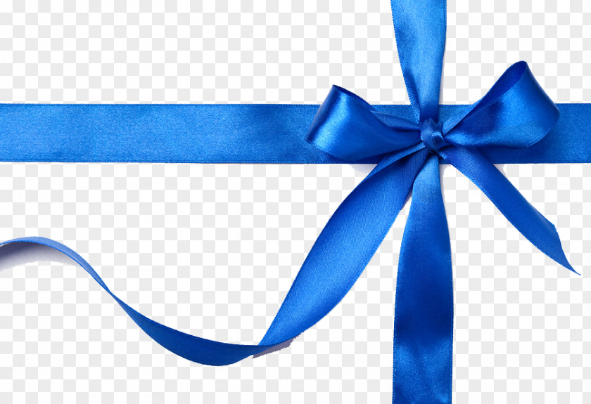 Gift Ribbon File Blue PNG
