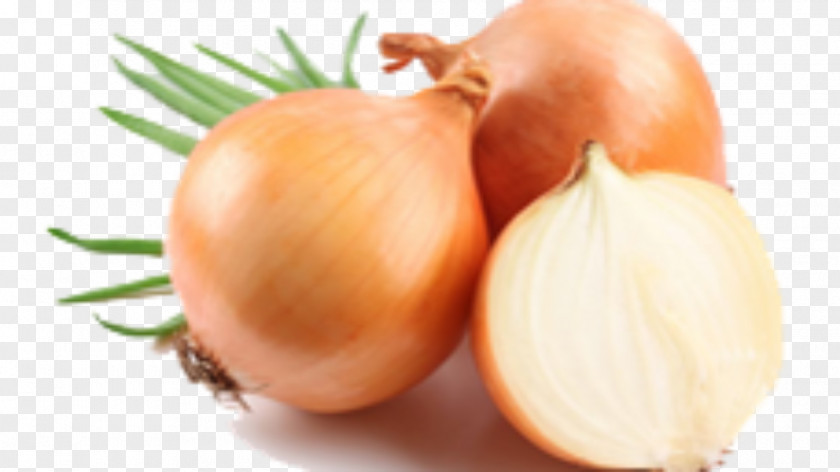 Honey Onion Organic Food Health Vegetable PNG