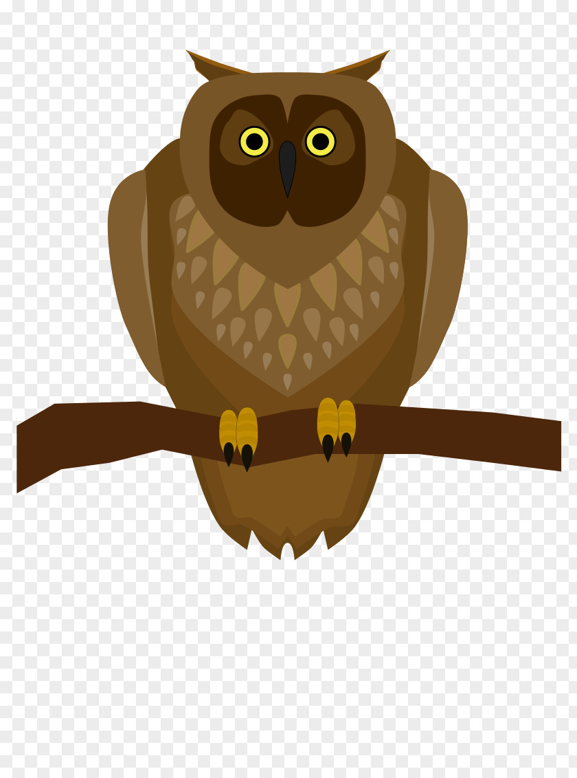 Owl Owls In The Family Bird Clip Art PNG