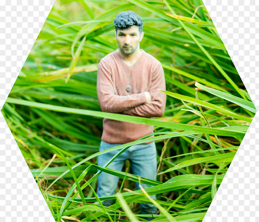 Radiolaria 3D Selfie Printing Scanning Code3D Lawn PNG