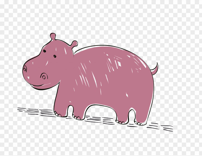 Vector Cartoon Line Lovely Hippo Domestic Pig Hippopotamus PNG