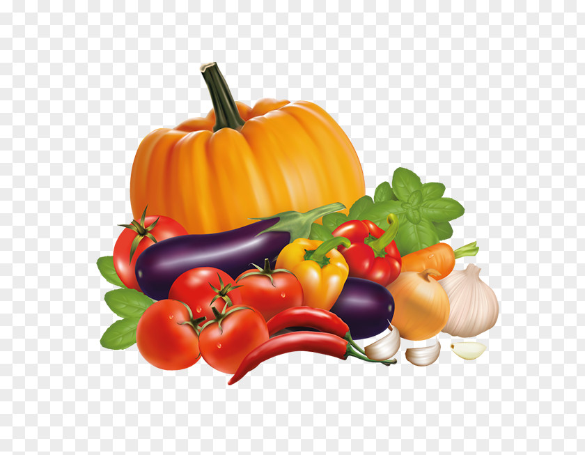 Vegetable Chili Pepper Bell Stock PNG