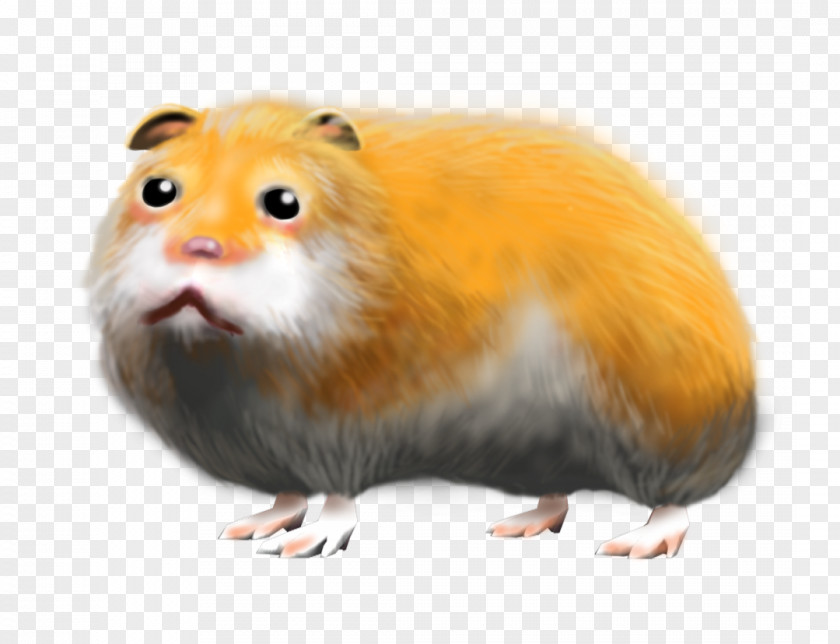 Hamster Cage The Sims 2: Pets 3: 4 Expansion Pack PNG