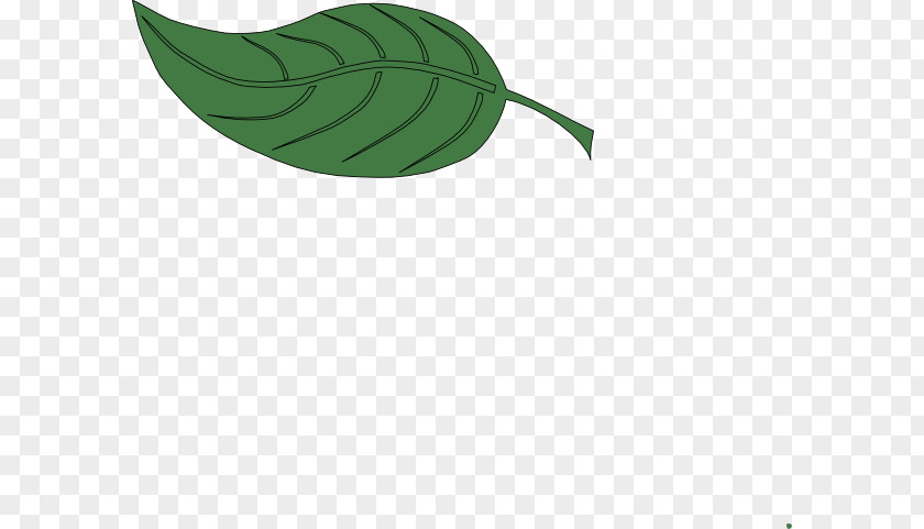 Hawaii Leaf Green Plant Stem PNG