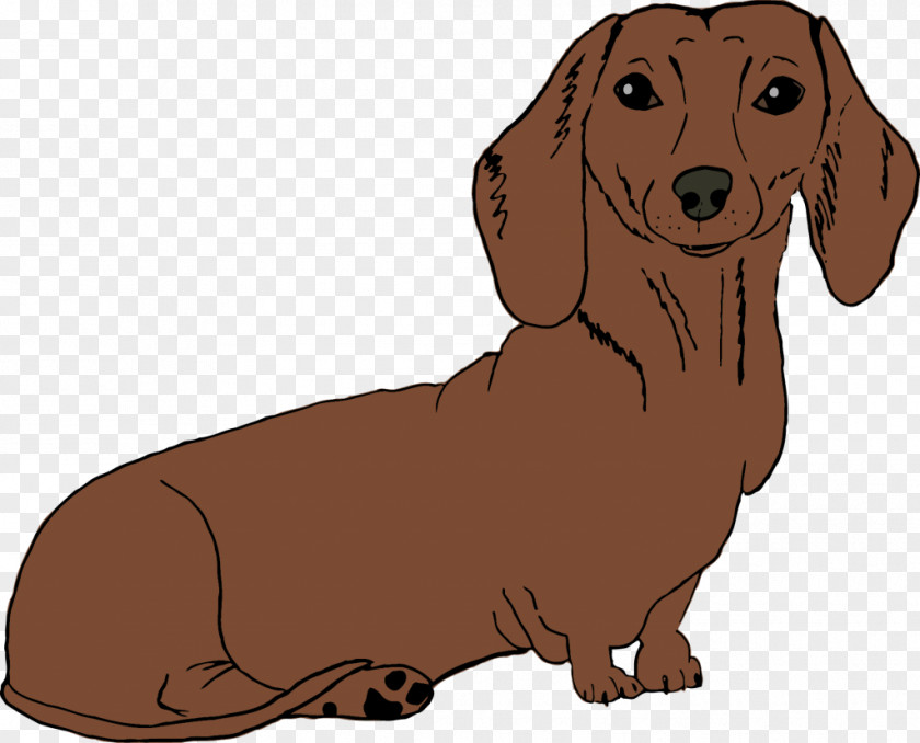 Puppy Dachshund Dog Breed Companion Beagle PNG