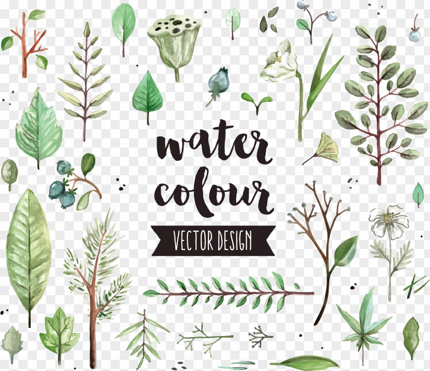Vector Diagram Leaf Shading Watercolor Painting Icon PNG