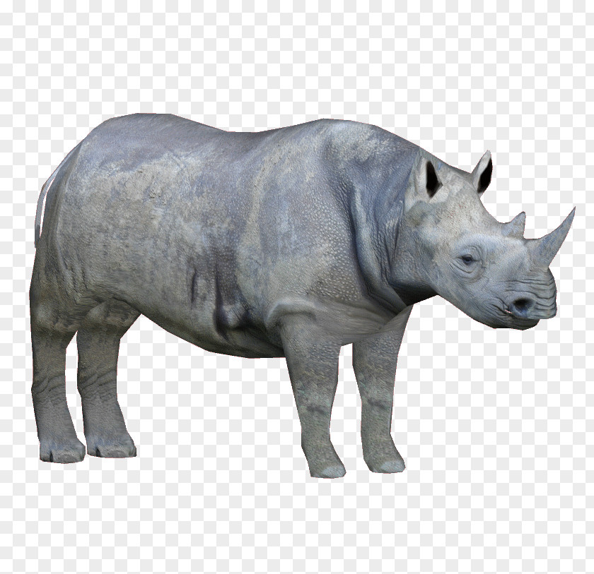 Zoo Tycoon 2 Western Black Rhinoceros Eastern Mammal PNG