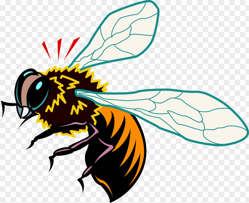 Bee Queen Insect Clip Art PNG