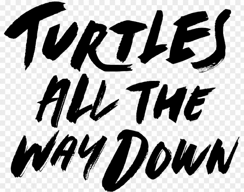 Book Turtles All The Way Down Fault In Our Stars Hardcover Looking For Alaska Young Adult Fiction PNG