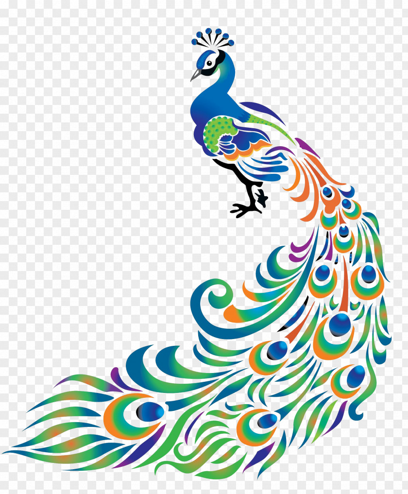 Sarawati Peafowl Feather Clip Art PNG