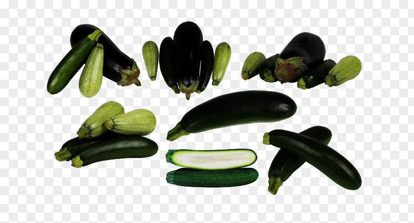 Squash And Eggplant Cucumber Stuffing Clip Art PNG
