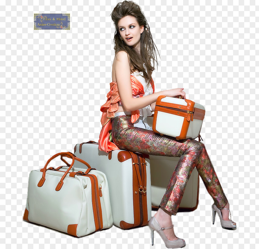Suitcase Handbag Woman Baggage PNG