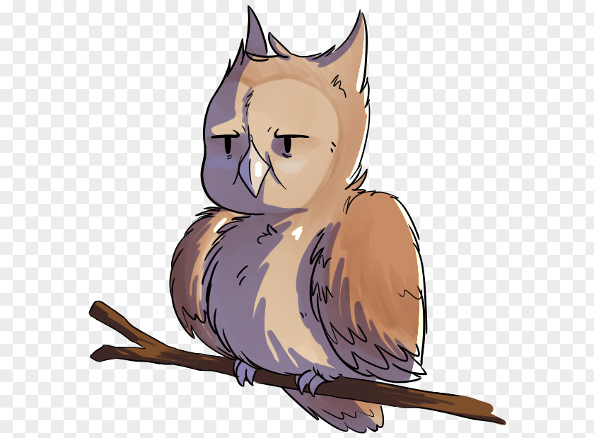 Angry Owl Whiskers Kitten Cat Canidae PNG