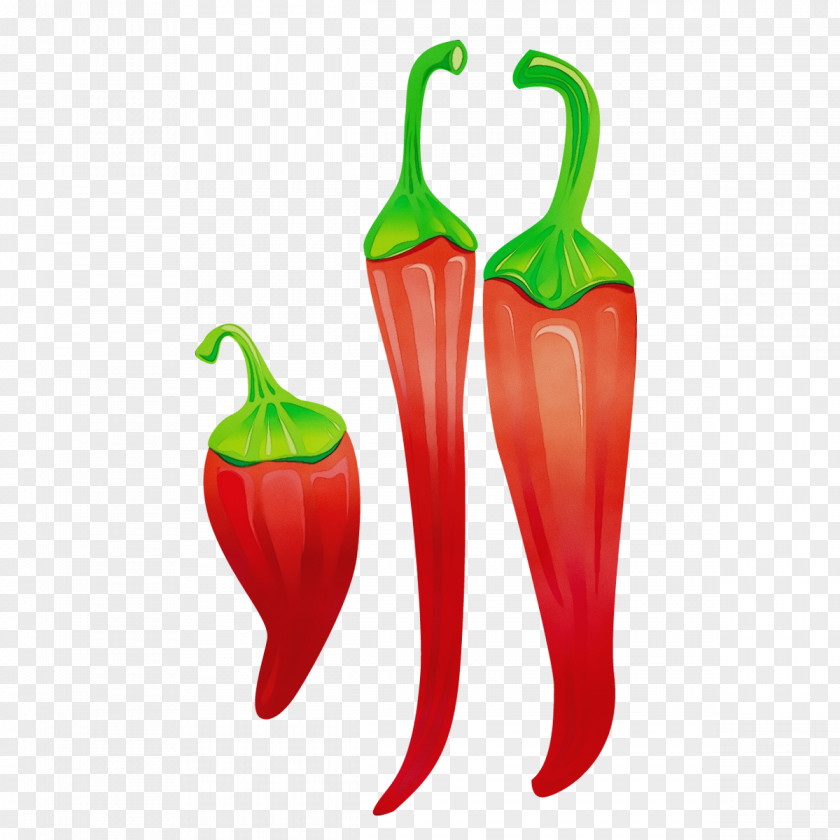 Chili Pepper Tabasco Malagueta Vegetable Serrano PNG