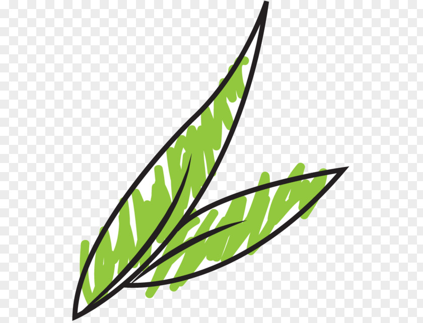 Clip Art Leaf Plant Stem Line Plants PNG