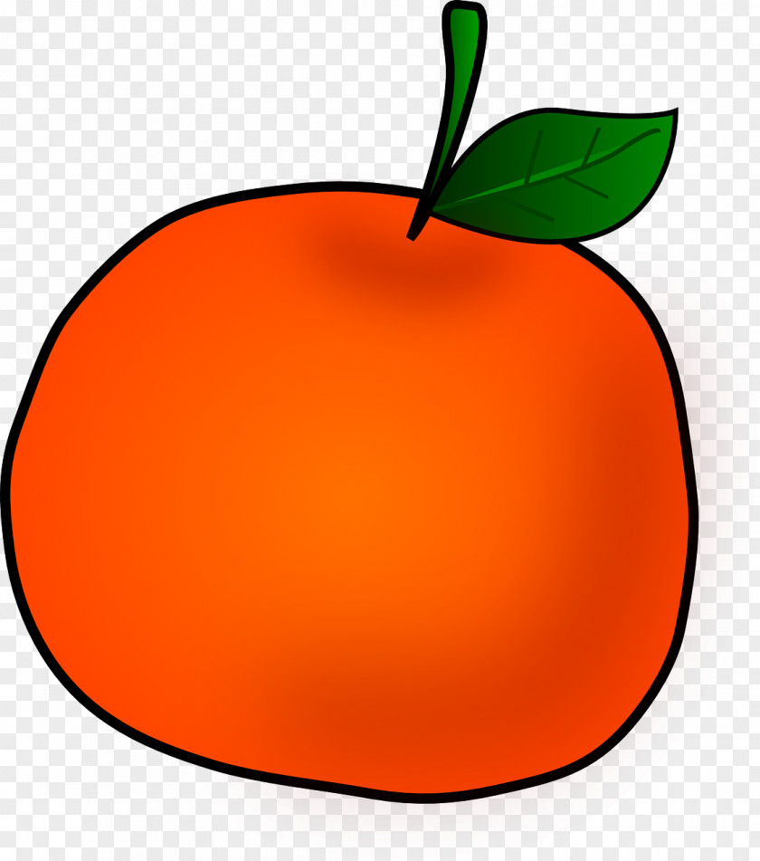 Clipart Orange Clip Art Openclipart Free Content Fruit PNG