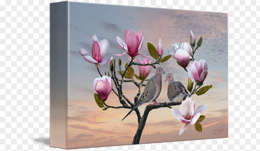 Magnolia Tree Still Life Photography PNG