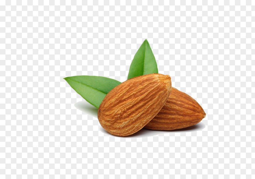 Almond Nut Food Apricot Kernel PNG