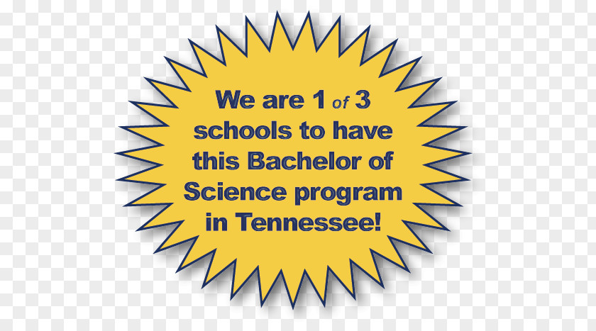 Bachelor Of Science Bachelor's Degree Logo Brand School PNG