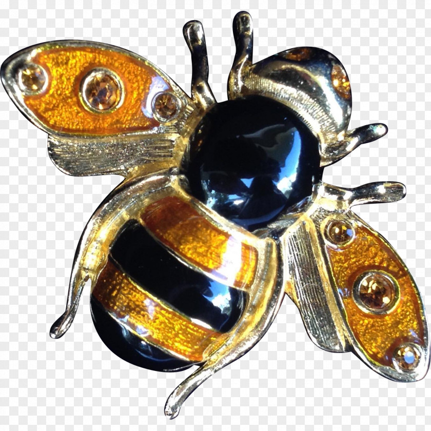 Bumble Bee Beetle Pollinator Brooch Jewellery PNG