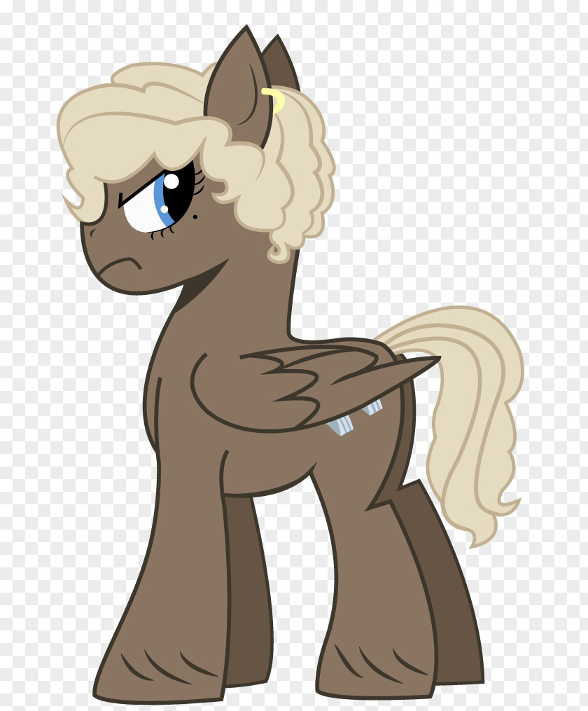 Dumbbell Wallpaper Pony DeviantArt Cat PNG