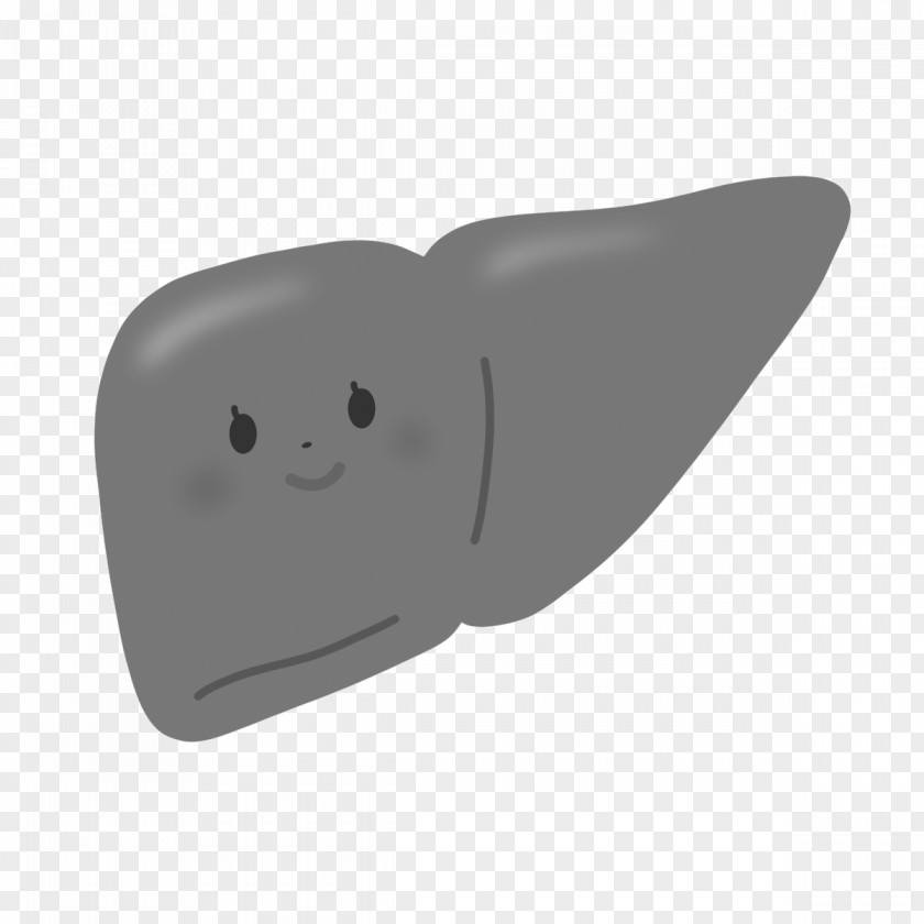 Kiver Tooth Mammal Product Design Angle Cartoon PNG