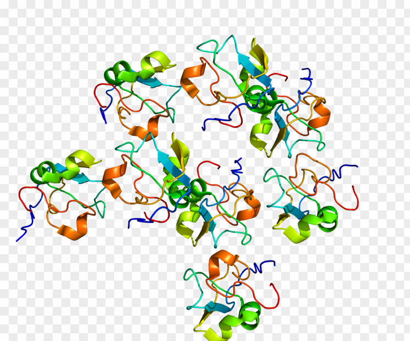 Protein Catabolism Gene Expression RECQL4 PNG
