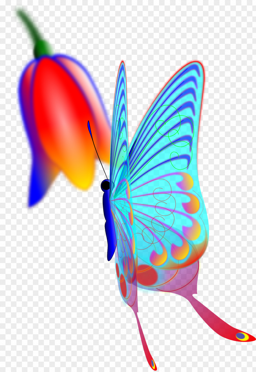 Winged Vector Butterfly Wing Clip Art PNG