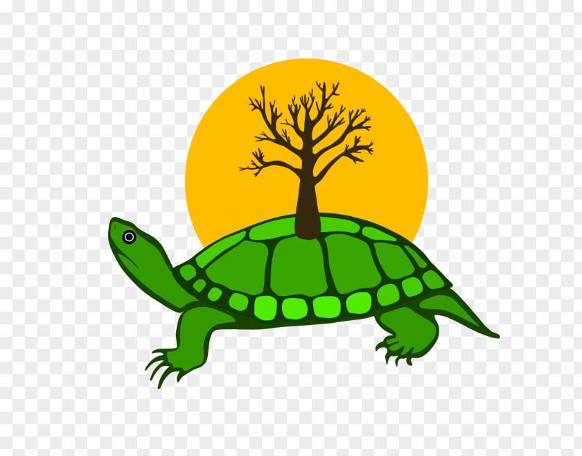 Canada Emoji Turtle Island Hawaii Anishinaabe Tortoise Indigenous Peoples PNG