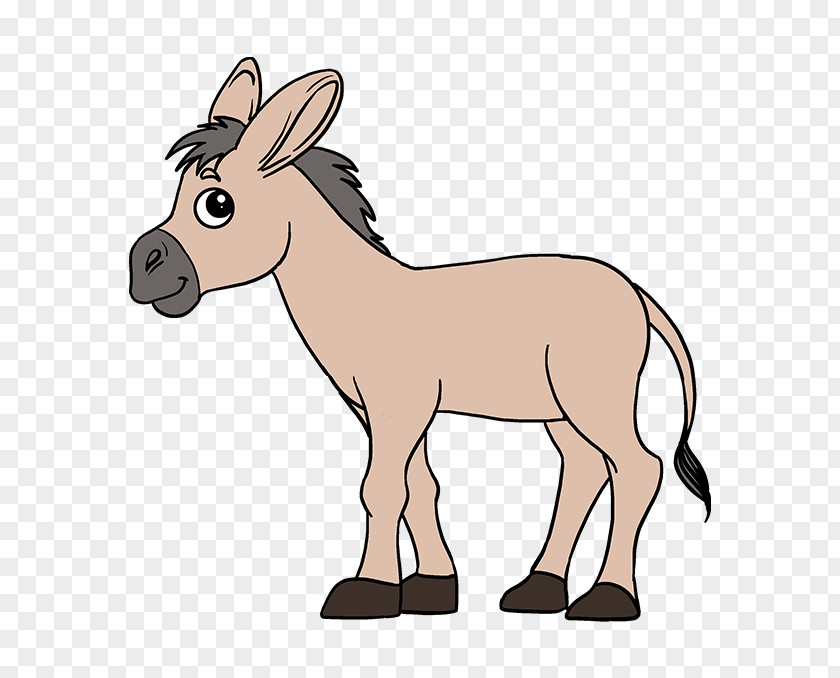 Donkey Drawing Mule Image Cartoon PNG