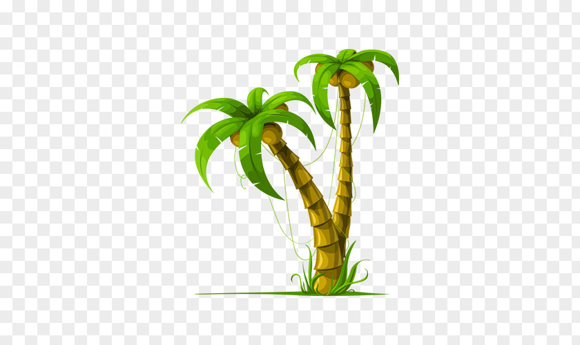Green Coconut Trees PNG coconut trees clipart PNG