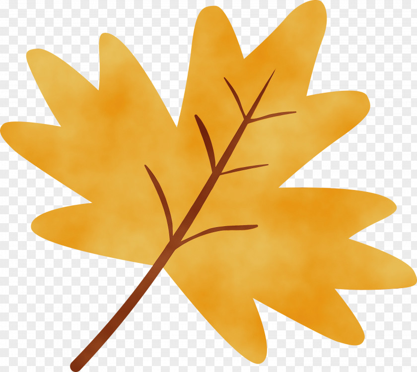 Maple Leaf PNG