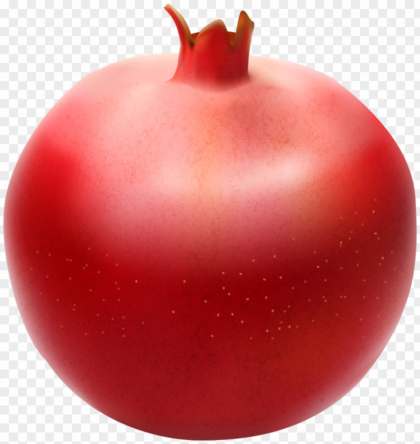 Pomegranate Transparent Clip Art Image Plum Tomato Fruit PNG