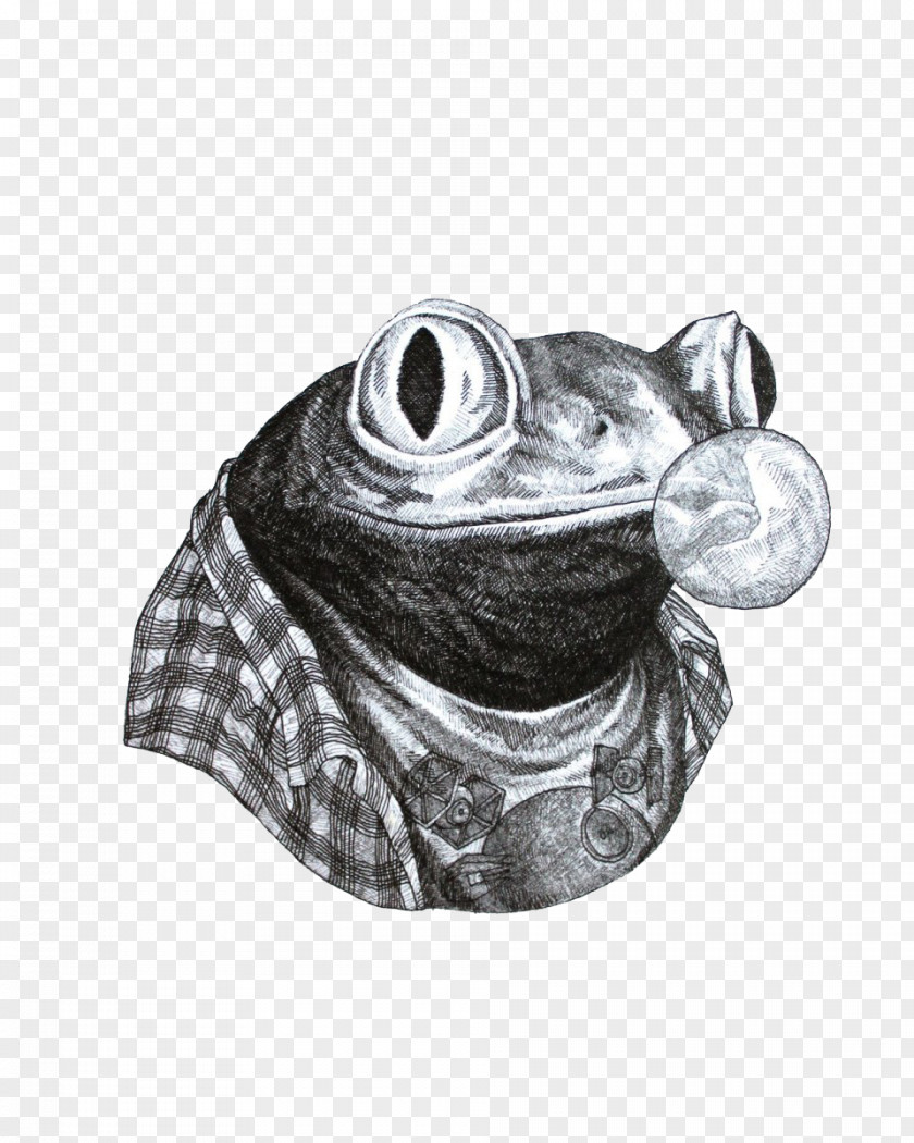 Sketch Bubble Frog Illustration Drawing Illustrator PNG