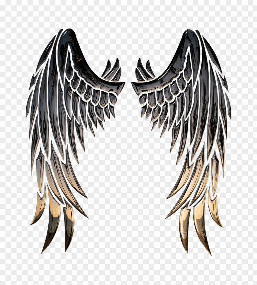 Angel Wings Buffalo Wing Stencil Clip Art PNG