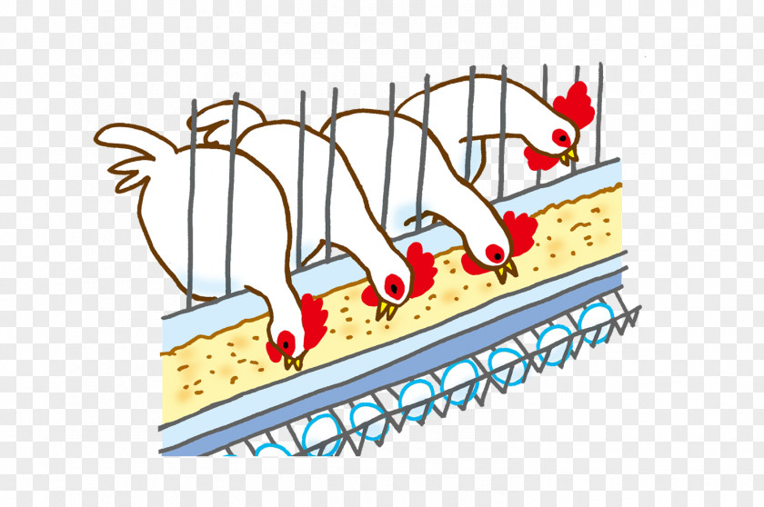 Chicken Farm Poultry Farming Diagram Clip Art PNG