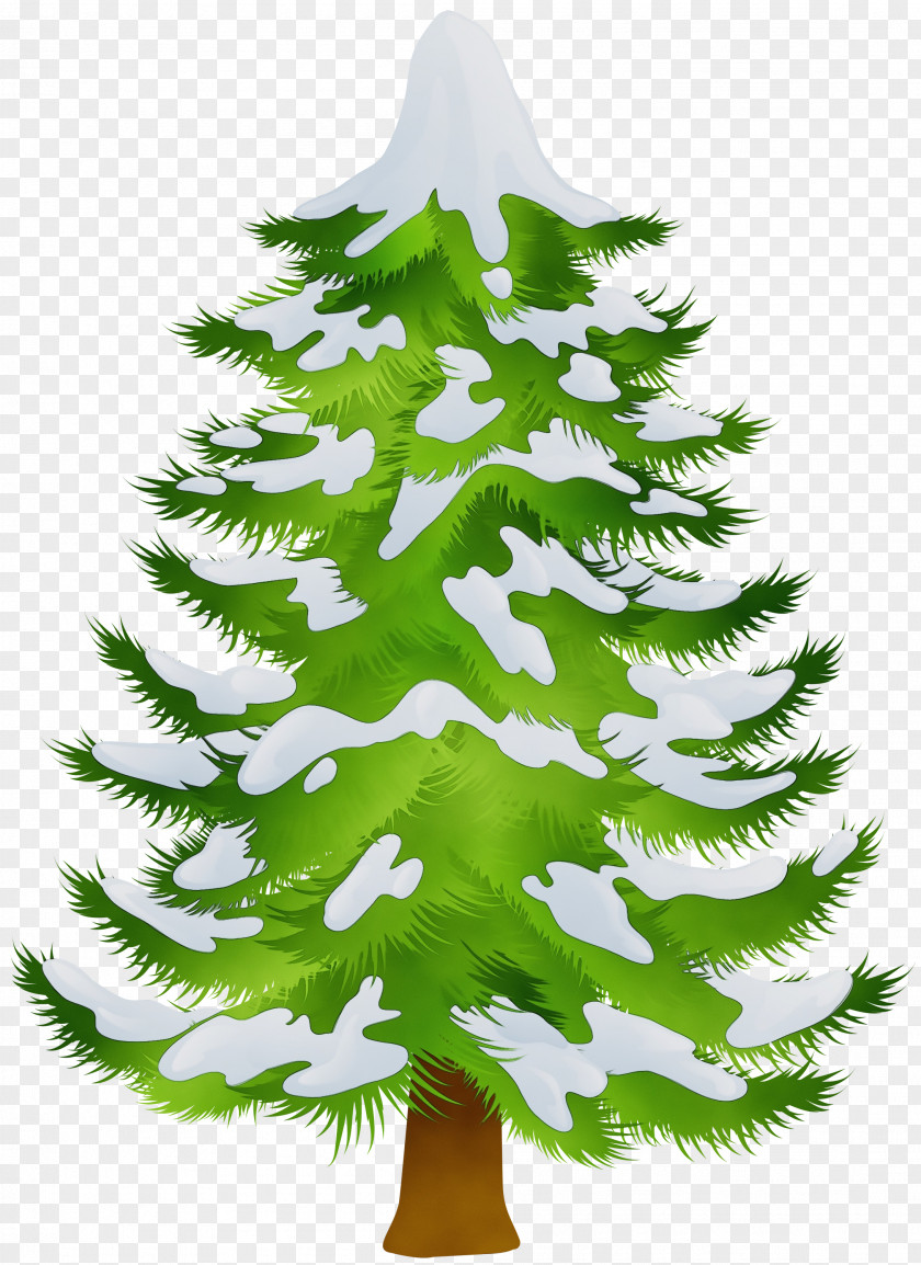 Cypress Family Houseplant Christmas Black And White PNG