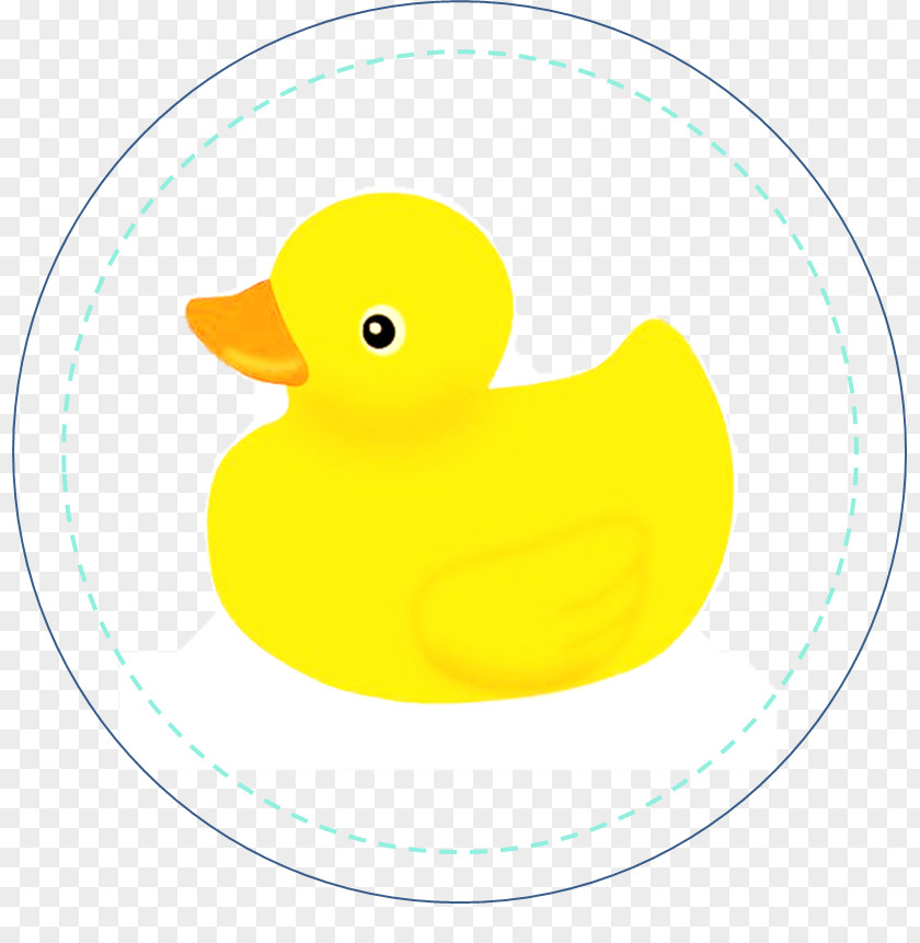 Duck Beak Clip Art PNG