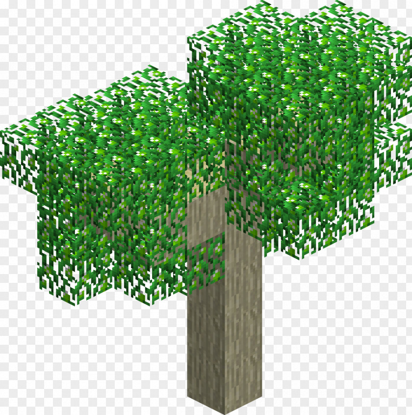 Lime Minecraft Fruit Tree Spruce Lindens PNG