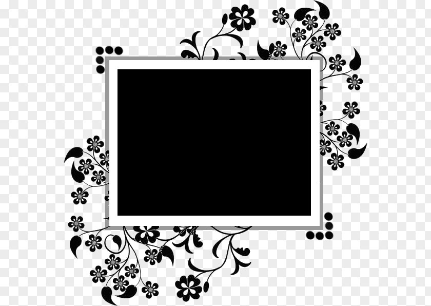 Picture Frames Clip Art PNG