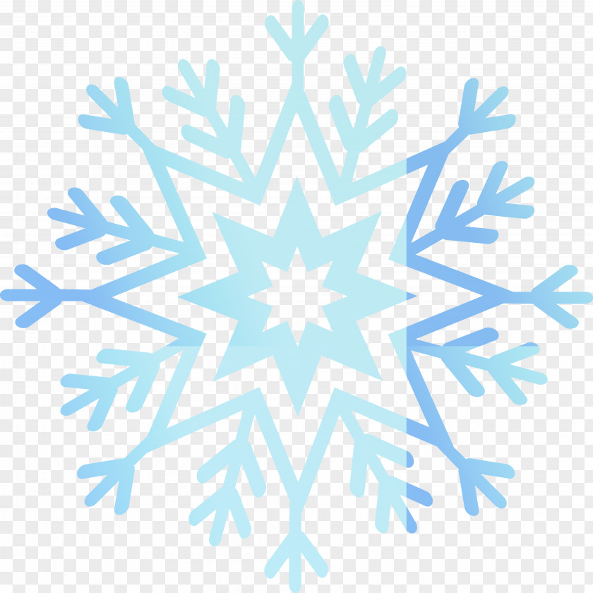 Snowflakes IBPS Clerk Exam (IBPS Clerk) Skiing Snowflake Skier PNG