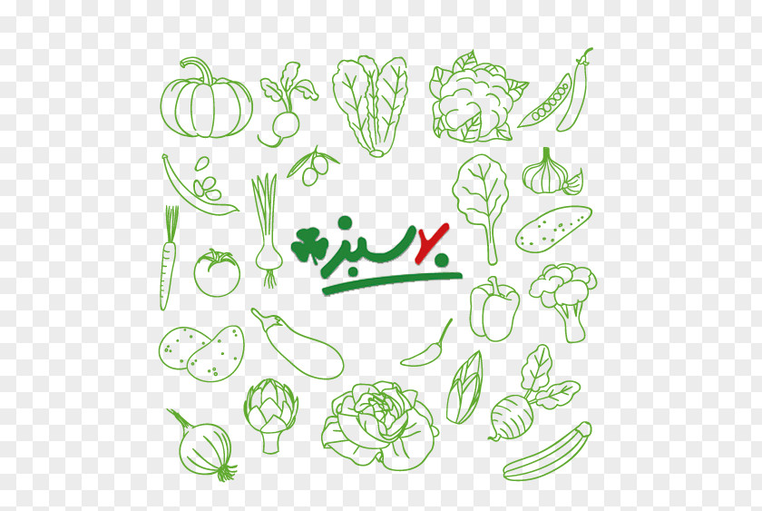 Vegetable Food Drawing PNG