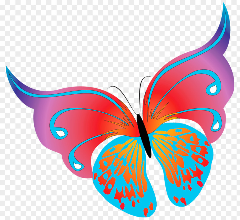 Painted Transparent Butterfly Clipart Clip Art PNG