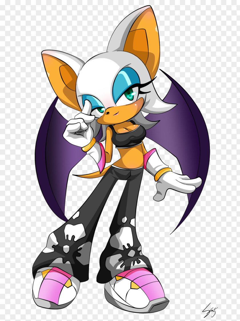 Sonic The Hedgehog Rouge Bat Amy Rose Riders Shadow PNG
