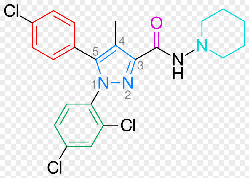 3-pyridinol Pharmaceutical Drug 4-Pyridone Rimonabant 2-Pyridone PNG