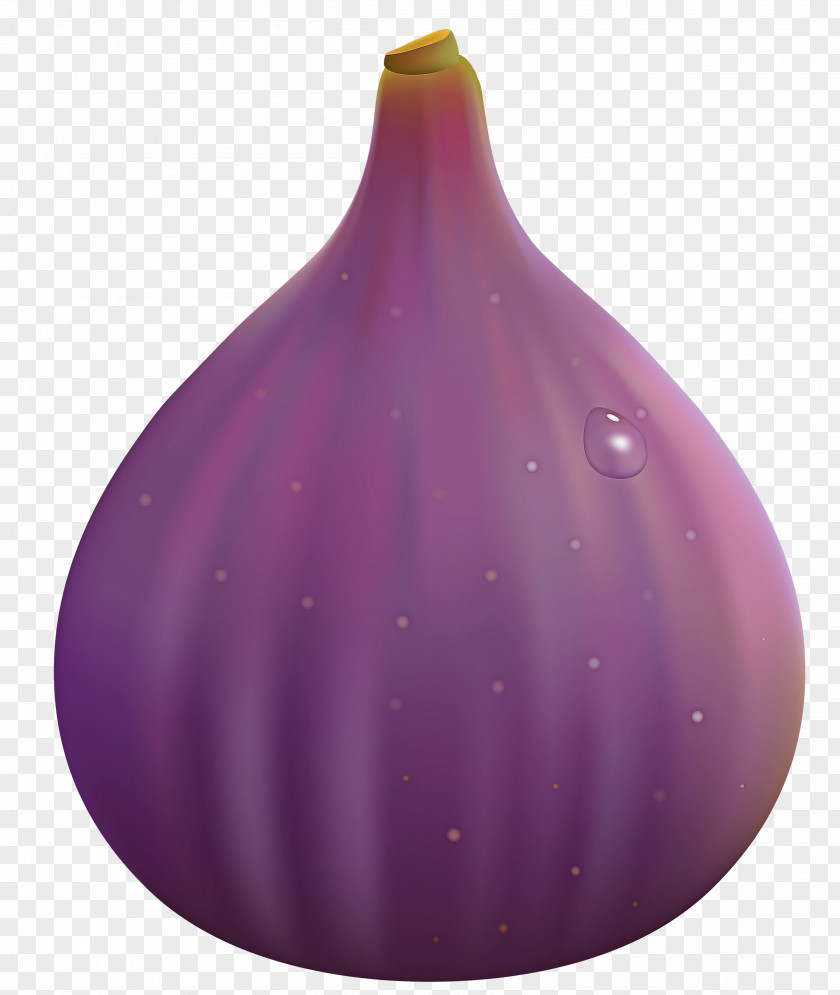 Allium Vegetable Purple Violet Vase Onion Plant PNG