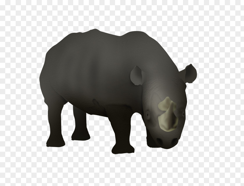 Bear Rhinoceros Hippopotamus PNG